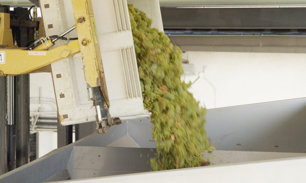 Joel Gott Wines - Joel Gott Oregon Pinot Gris Bottle